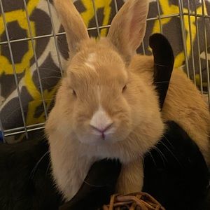 Meet your Posher, Jack